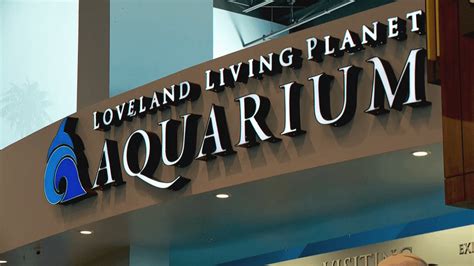 loveland aquarium|loveland aquarium discount.